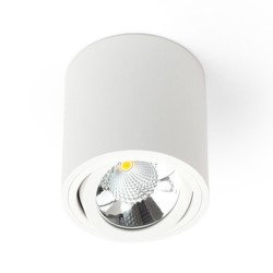Oprawa sufitowa spot tuba SASARI RO 15W ciepła 3000K biały śr. 16cm