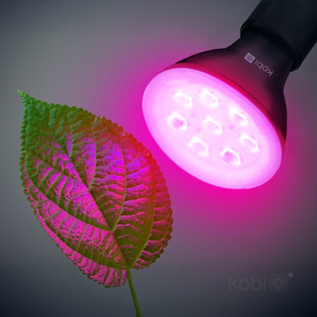Żarówka do roślin LED PLANTY B 7W E27 1200K czarna Kobi Design