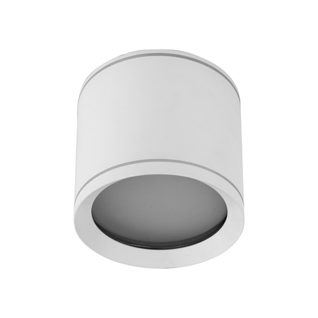 Spot sufitowy tuba  VIVO WHITE GX53 10595