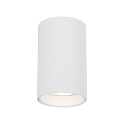 GENESIS SPOT WHITE 1xGU10 10cm