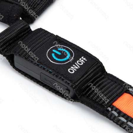 Świecąca smycz LED dla psa typ USB A dł. 120cm | różowy