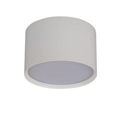 Oprawa natynkowa KENDAL, biała, 6W LED, barwa zmienna 3000K/4000K/6000K, IP54