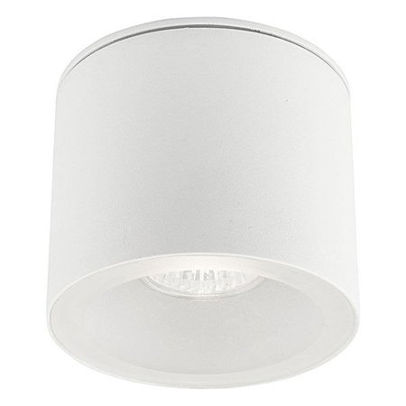 Zewnętrzny spot HEXA white tuba GU10 9564