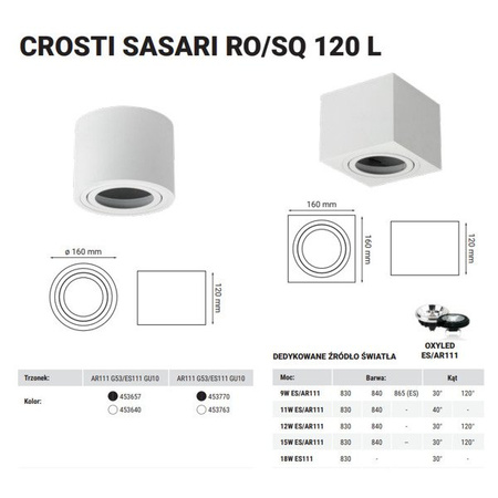 Oprawa sufitowa spot tuba natynkowa CROSTI SASARI RO 120 L biały śr. 16cm