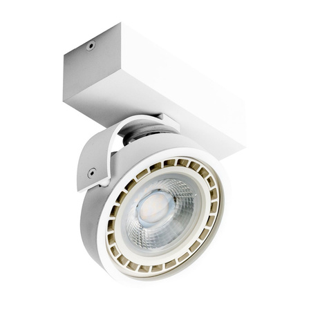Azzardo JERRY 1 230V WHITE 1366