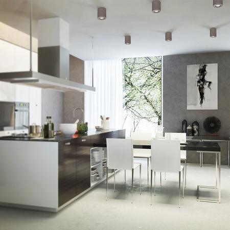 Concretedream Okrągła Lampa Sufitowa 1xGU10 Max.6W Szary Beton 2066136