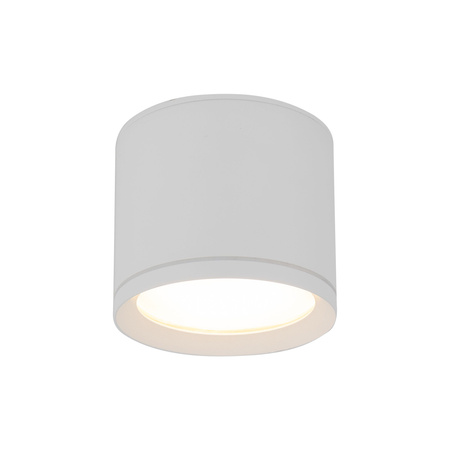 Spot sufitowy tuba  VIVO WHITE GX53 10595