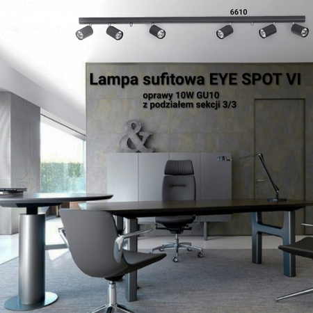 Lampa punktowa EYE SPOT BLACK 119cm VI