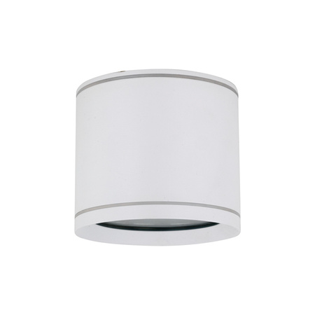 Spot sufitowy tuba  VIVO WHITE GX53 10595