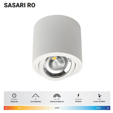 Oprawa sufitowa spot tuba SASARI RO 15W ciepła 3000K biały śr. 16cm