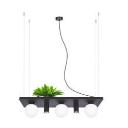 Lampa wisząca 5555 PLANT SHELF | czarna